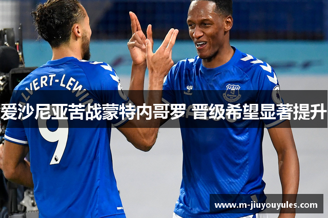 爱沙尼亚苦战蒙特内哥罗 晋级希望显著提升