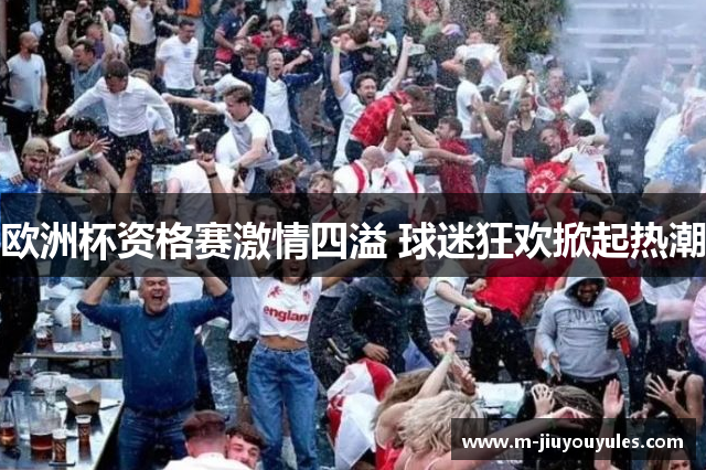 欧洲杯资格赛激情四溢 球迷狂欢掀起热潮