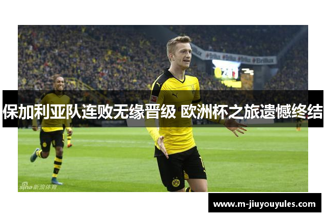 保加利亚队连败无缘晋级 欧洲杯之旅遗憾终结