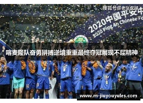 喀麦隆队奋勇拼搏逆境重重最终夺冠展现不屈精神