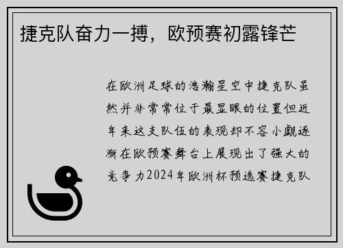 捷克队奋力一搏，欧预赛初露锋芒