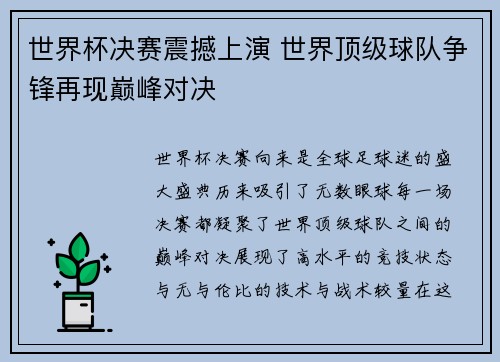 世界杯决赛震撼上演 世界顶级球队争锋再现巅峰对决